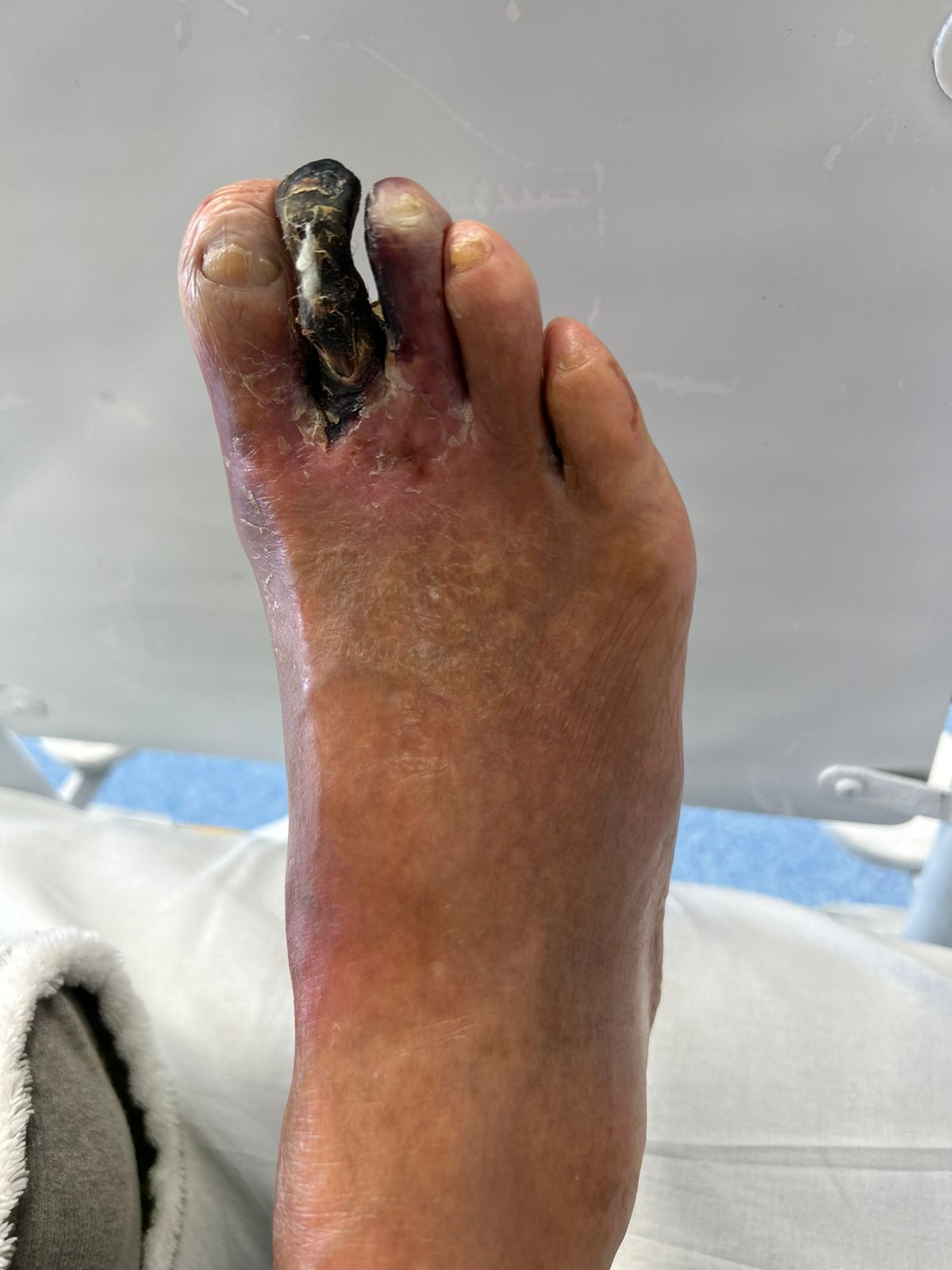 WhatsApp Image 2025-11-09 at 18.23.16 (3)