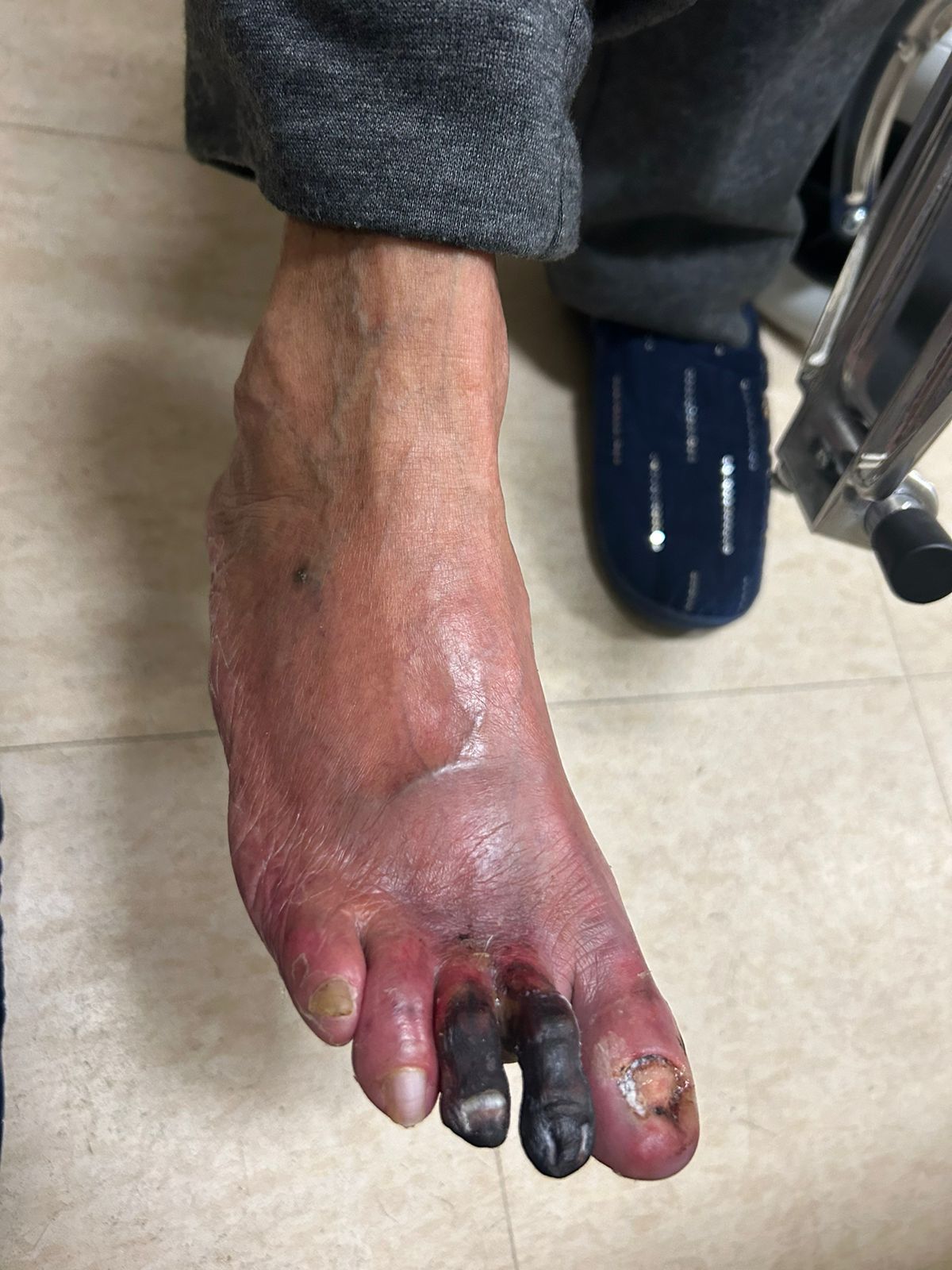 WhatsApp Image 2025-11-09 at 18.23.17 (1)