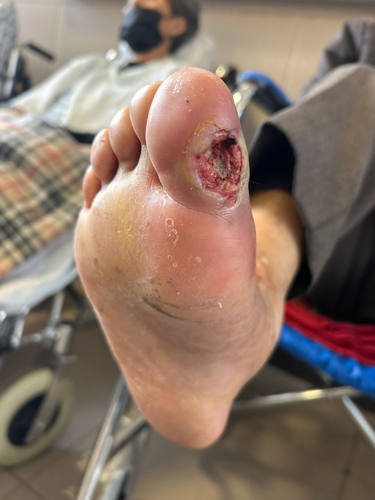 WhatsApp Image 2025-11-09 at 18.23.17